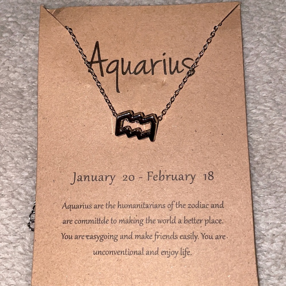 Aquarius Zodiac Sign Necklace. Silver, 16” chain